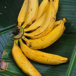 Banane Netram Palam